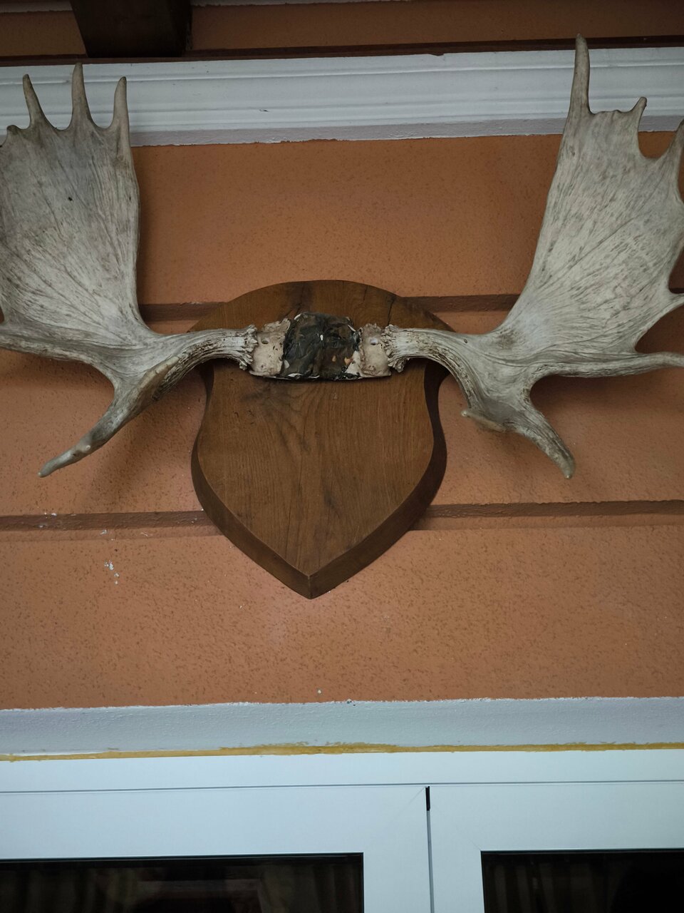 Гостевой дом Жемчуг Village Веселое-180