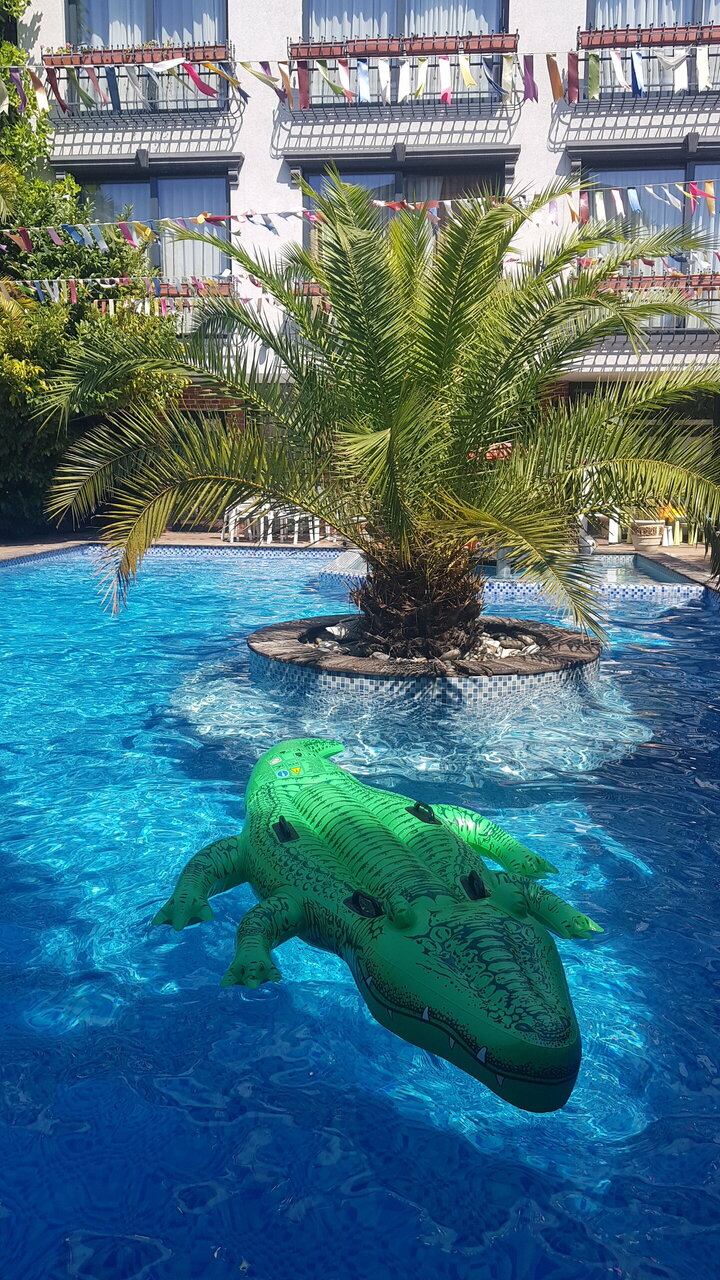 Гостевой дом Жемчуг Village Веселое-137