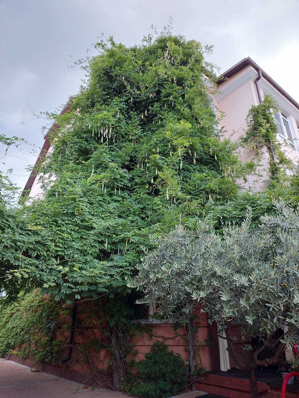 Гостевой дом Жемчуг Village Веселое-131