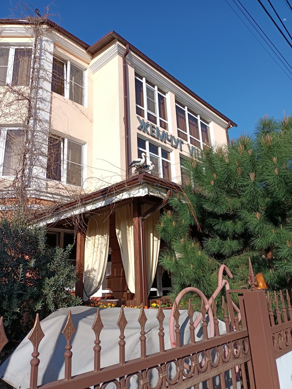 Гостевой дом Жемчуг Village Веселое-164