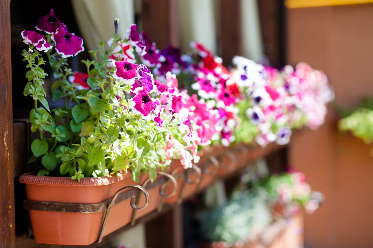 Гостевой дом Жемчуг Village Веселое-4