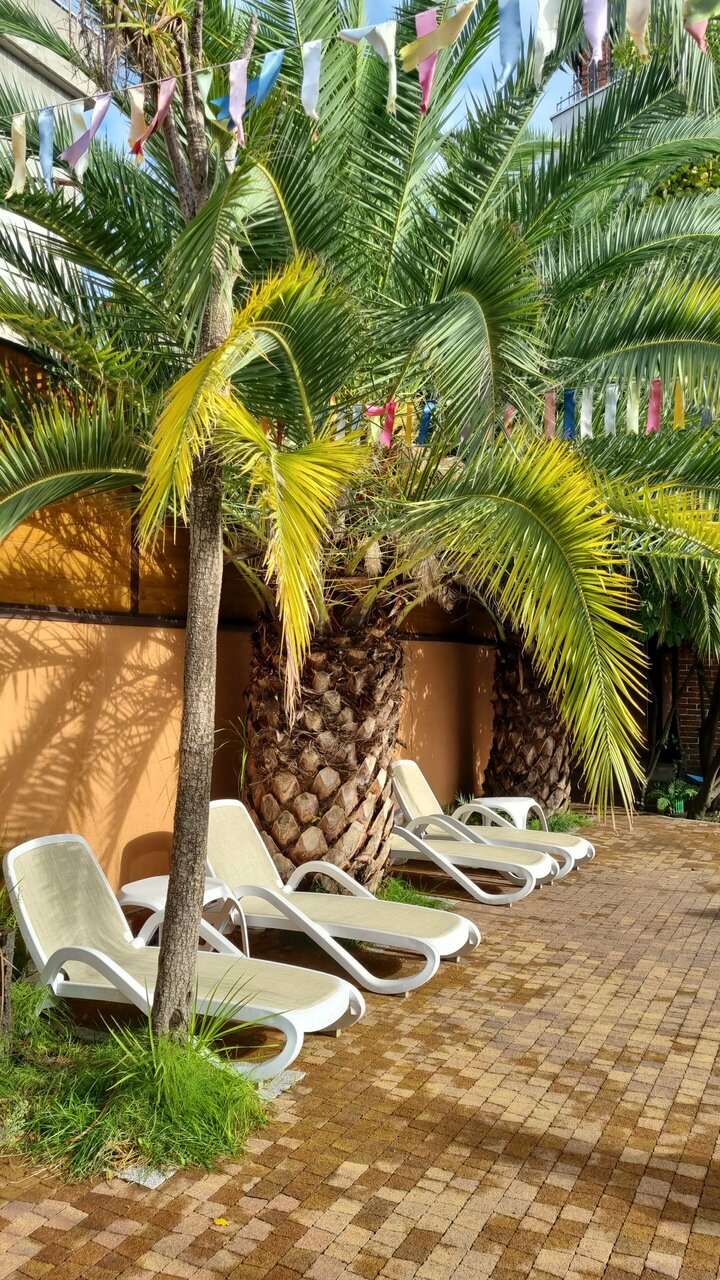 Гостевой дом Жемчуг Village Веселое-172