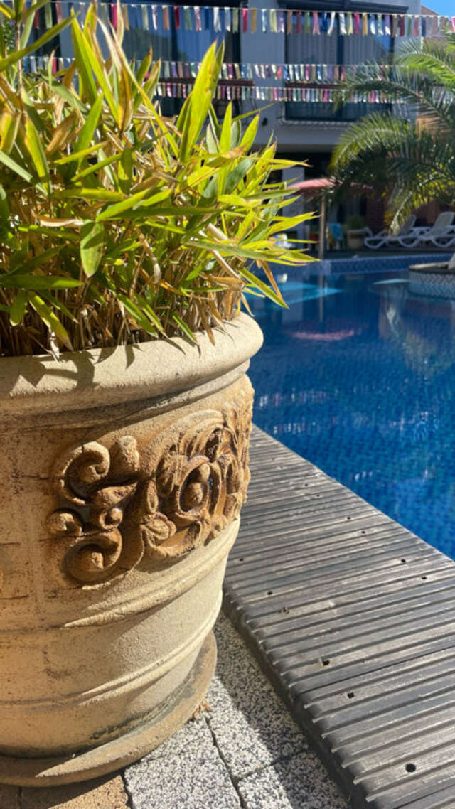 Гостевой дом Жемчуг Village Веселое-134